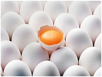 Яйца во всем многообразии - окончание