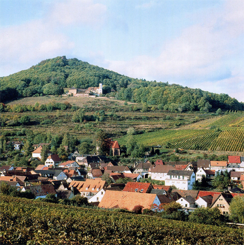 Рейнланд-Пфальц - виноградный край